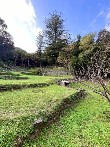 Vente Maison 6 pièces 160 m2 à Bastia