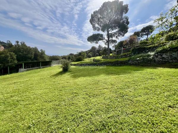 Vente Maison 6 pièces 160 m2 à Bastia