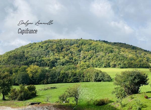 Maison à vendre 6 pièces proche de LA BALME DE SILLINGY (74)