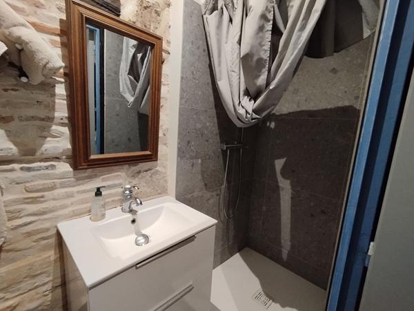 Maison Bourguignonne d'exception de 249 m2 - Un bien rare. Cette demeure offre de nombreuses possibilités - Gites - Maison Familiale - au Coeur du centre ville de Tournus