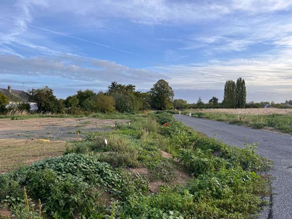 A VENDRE Terrain à La Ménitré- 470m²