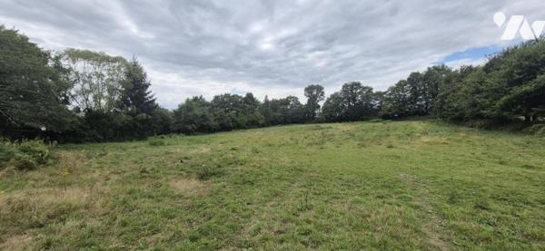 MAISON 3CH - 2 GARAGES - TERRAIN 16590 M2