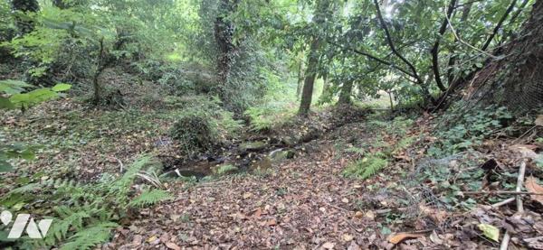 MAISON 3CH - 2 GARAGES - TERRAIN 16590 M2