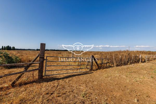 Unique – Gîtes, Espace & Équipements Équestres