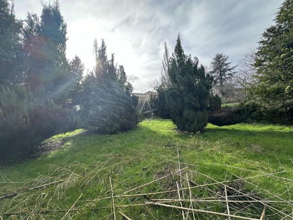 Jolie maison de village 3/4 chambres avec grand jardin et garage