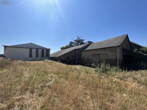 Achat - Maison Noyal-sur-Vilaine 35530 5 pièces 105 m 2