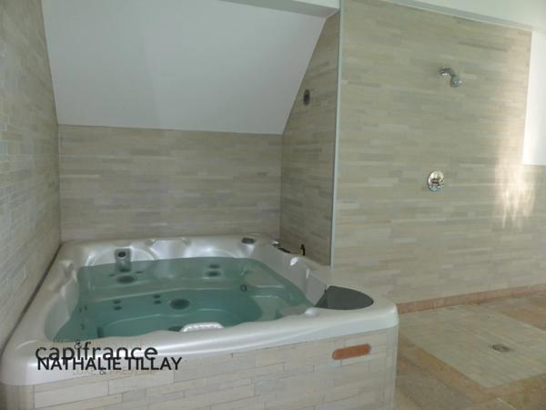 Jargeau, proche ORLEANS, maison d architecte A vendre, de 215 m² avec piscine intérieure, Terrain de 1 224 m²