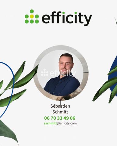 Maison 7 pièces - 248 m² Bien prestige