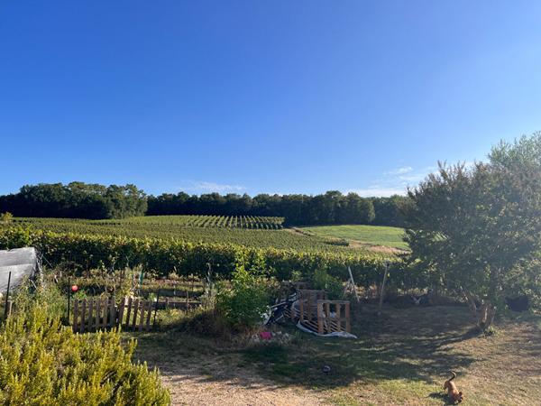 **Charmante propriete en pierre avec gite et piscine dans un cadre bucolique**