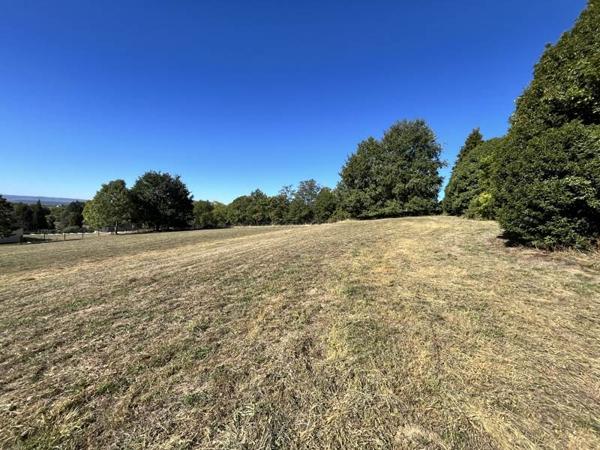 Terrain à vendre 77 420 € Donzenac 5006 m² DPE