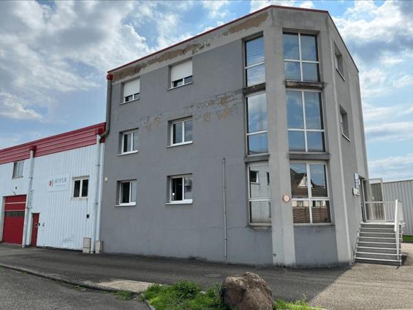 Location Local commercial 5 pièces - 6 RUE FREDERIC CHOPIN Geispolsheim 67118