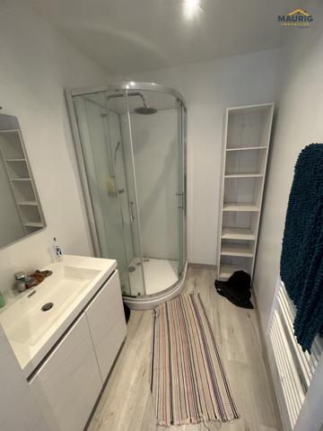 MAISON AVEC 2 APPARTEMENTS - CAUMONT SUR GARONNE