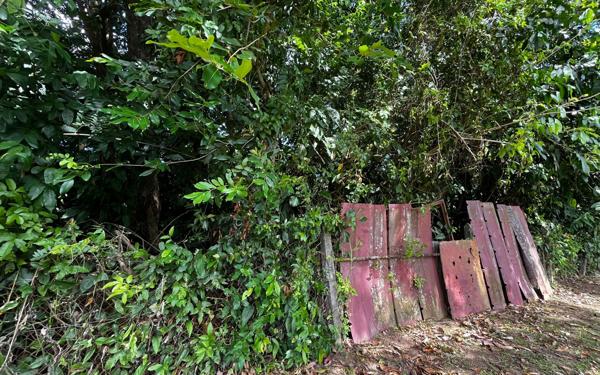 Terrain à vendre    Cayenne