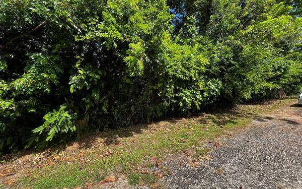 Terrain à vendre    Cayenne