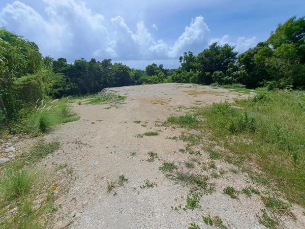 Dpt Guadeloupe (971), à vendre LE GOSIER terrain