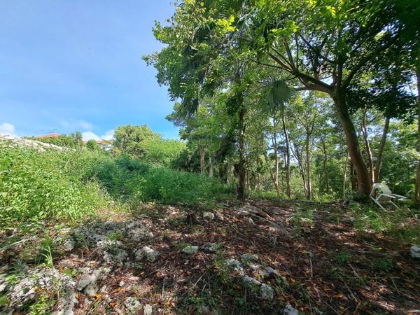 Dpt Guadeloupe (971), à vendre LE GOSIER terrain