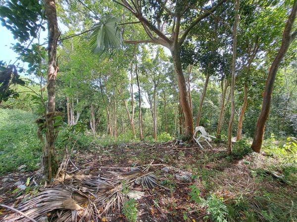 Dpt Guadeloupe (971), à vendre LE GOSIER terrain