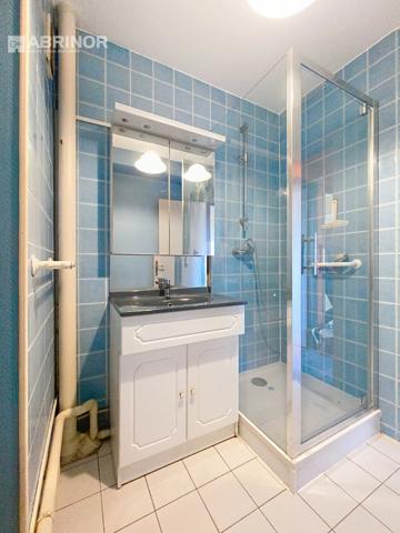 Appartement T2 - 36m² habitables FACHES THUMESNIL