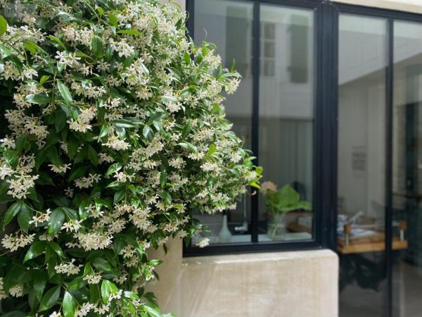 Maison à vendre à Sainte-Marie-de-Ré en Charente-Maritime (17740), ref : 17018-1134