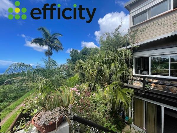 Maison 8 pièces - 263 m² Bien prestige