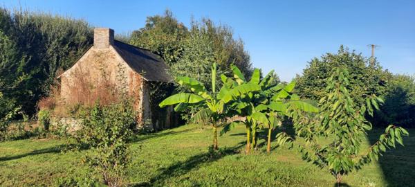 Longère rénovée et terrains