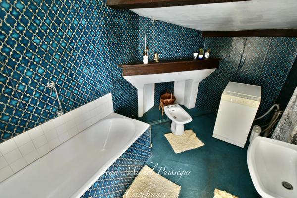 Immeuble 220m2 à Vendre à SAINT GAUDENS (31), Centre-ville, 5 Appartements, Jardin