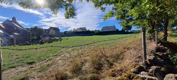 Achat terrain Coltines - 2436 m² - 43 848 €