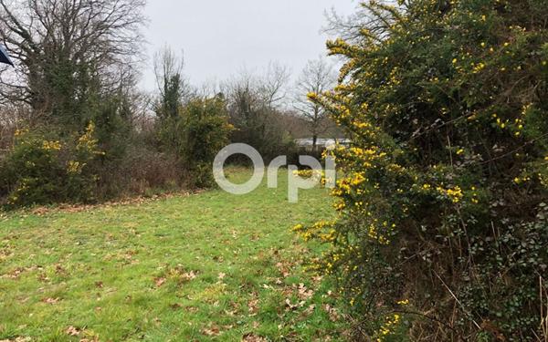 Terrain à vendre    Pénestin