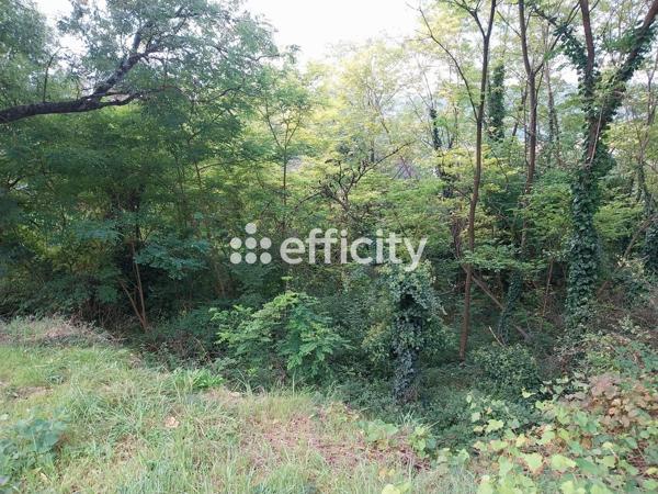 Terrain
        
        - 555 m² Exclusivité 159 000 € *