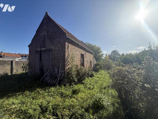 ✨NOUVEAUTE EN EXCLUSIVITE✨