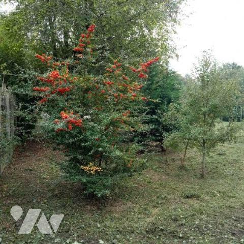  À VENDRE – AIRE-SUR-LA-LYS  ! BAISSE DE PRIX !!! 55 000 € net vendeur au lieu de 70 000 € !!