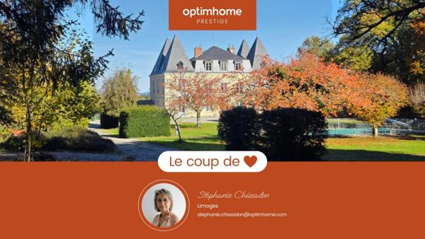 GROS POTENTIEL POUR CETTE TRES BELLE PROPRIETE DE 19HA AVEC CHATEAU ET BATIMENT DE + DE 1200 M²
