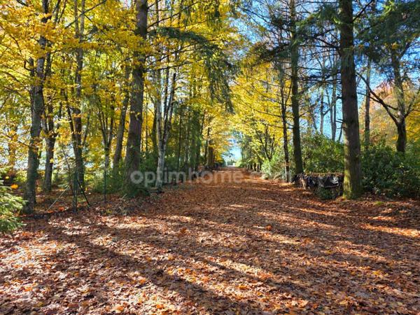 GROS POTENTIEL POUR CETTE TRES BELLE PROPRIETE DE 19HA AVEC CHATEAU ET BATIMENT DE + DE 1200 M²