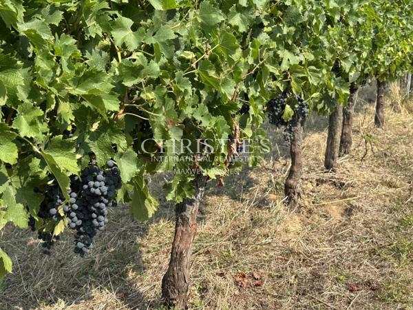 Region Saint-Emilion- Élégant château familial, facile à gérer