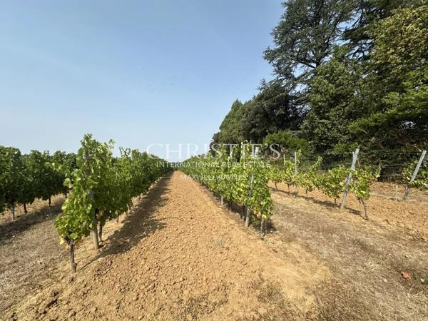 Region Saint-Emilion- Élégant château familial, facile à gérer