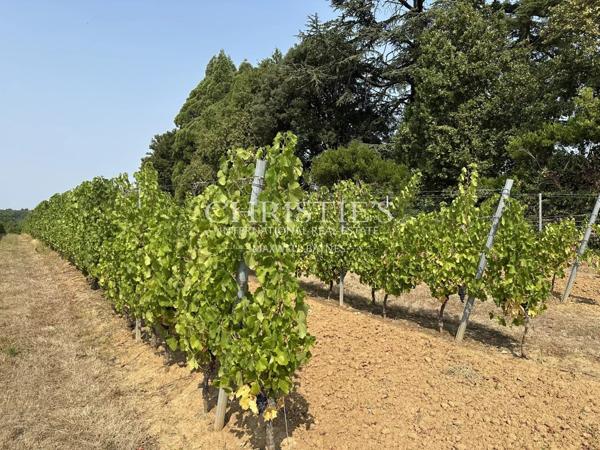 Region Saint-Emilion- Élégant château familial, facile à gérer