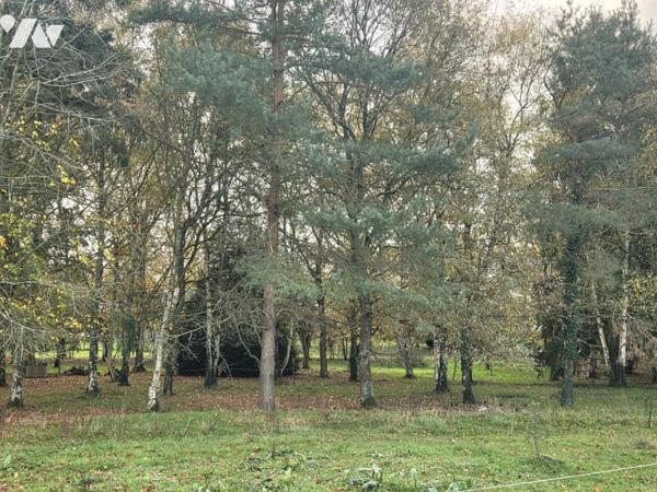 10 min de Château-Gontier. Une longère + un gîte. Terrain de 3.3ha avec plan d'eau de 12.400m².