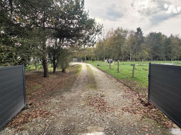 10 min de Château-Gontier. Une longère + un gîte. Terrain de 3.3ha avec plan d'eau de 12.400m².