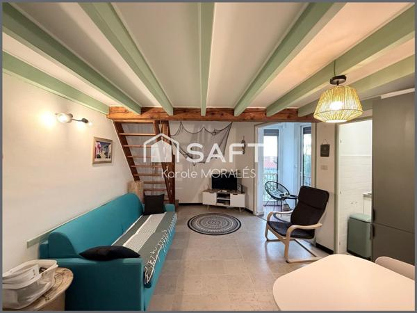 ARGELES-SUR-MER, LE RACOU, BEAU T2, CAVE ET PLACE DE PARKING