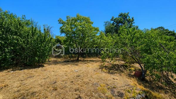 Située sur la commune d'Ormesson, à seulement 6 minutes de la gare de Nemours–Saint-Pierre, découvrez cette magnifique propriété de 290 m², implantée sur un superbe terrain arboré de 2 570 m², au cœur d'un environnement verdoyant et paisible.

La maison se compose, au rez-de-chaussée, d'une spacieuse pièce de vie de 50 m² avec plafond cathédrale et une belle cheminée, d'une cuisine entièrement aménagée et équipée, d'un cellier/buanderie, d'une véranda ouvrant sur une terrasse exposée plein sud, d'un WC indépendant ainsi que d'une suite parentale.

À l'étage, une grande mezzanine dessert trois chambres et deux salles de bains.

Le rez-de-jardin dispose d'une entrée, d'une salle d'eau, d'une cave et de deux pièces supplémentaires pouvant être aménagées en chambres, salle de jeux, bureau ou espace de loisirs. Cet espace peut être totalement indépendant, offrant une solution idéale pour accueillir la famille, des invités ou créer un logement complémentaire.

À l'extérieur, vous profiterez d'une piscine creusée et chauffée, d'un bûcher, d'un appentis pouvant accueillir une cuisine d'été, ainsi que d'un superbe garage de 50 m² permettant de stationner un camping-car. Un second garage complète l'ensemble, sans oublier les nombreux arbres fruitiers qui agrémentent ce magnifique jardin.

Une propriété rare, alliant volumes généreux et cadre de vie privilégié, à proximité des commodités.