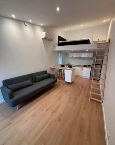 Appartement Toulouse 1 pièce 24 m2