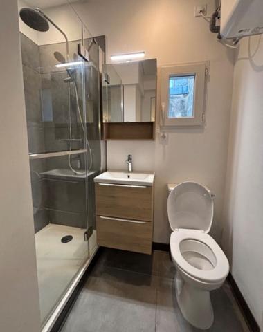 Appartement Toulouse 1 pièce 24 m2