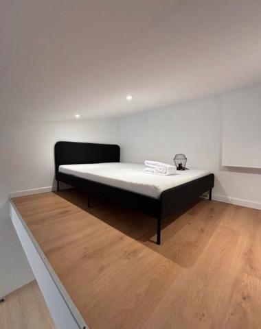 Appartement Toulouse 1 pièce 24 m2