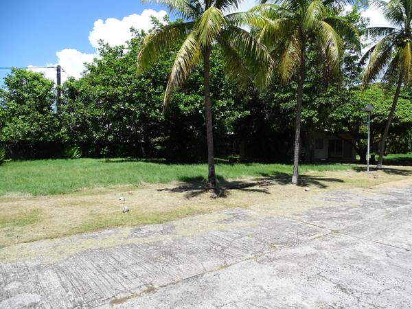 Immobilier Sainte-Anne (97180) – Terrain constructible 7157m2 – 1 228 500 €