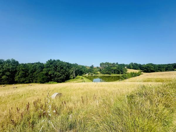 Charmante propriété en pierre avec maison d'amis, lac et vue panoramique près de Bergerac