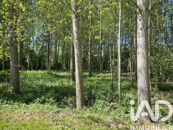Terrain à vendre 5 390 m² Dissay