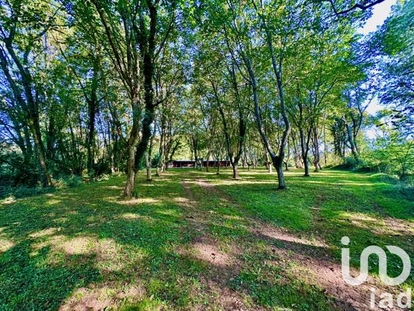 Maison à vendre 8 pièces 249 m² Soublecause