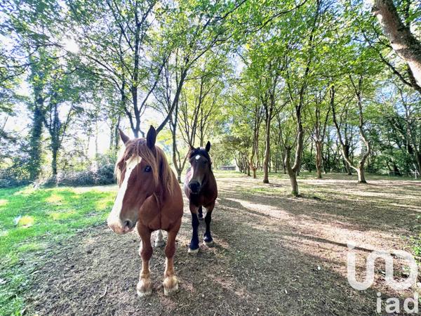 Maison à vendre 8 pièces 249 m² Soublecause