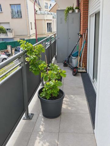 Appartement à ARGENTEUIL (95100)
