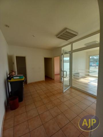 Lesparre Medoc : 900 € - AJP Lesparre Immobilier